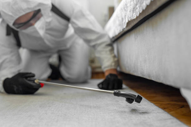 Professional Bed Bug Control technician working in Somerset, OH