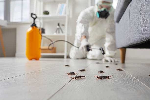 Trusted Cockroach Control service in Somerset, OH - Nex Pest Control